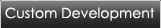 Custom Development